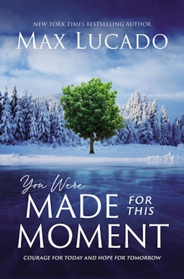 Cover image for You Were Made for This Moment, isbn: 9781400231799