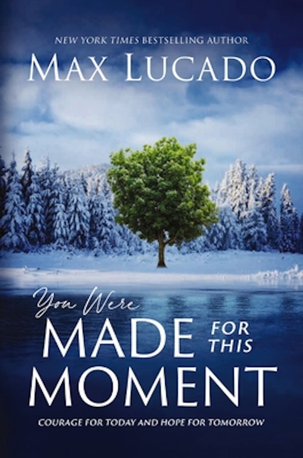 Cover image for You Were Made for This Moment, isbn: 9781400231843