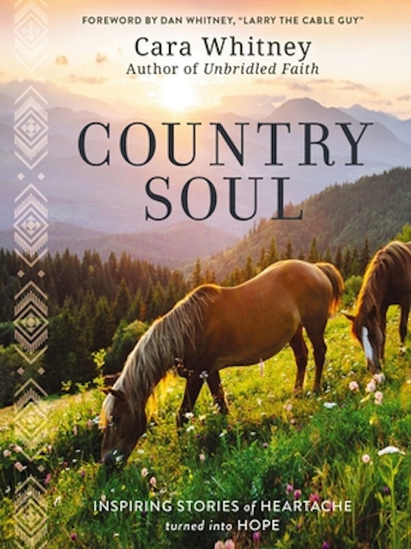 Cover image for Country Soul, isbn: 9781400233786