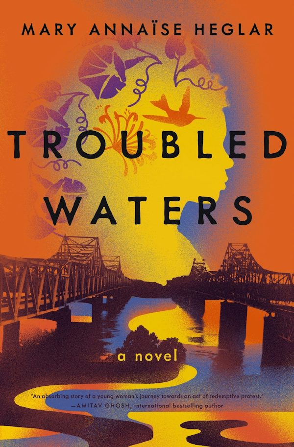 Cover image for Troubled Waters, isbn: 9781400235988