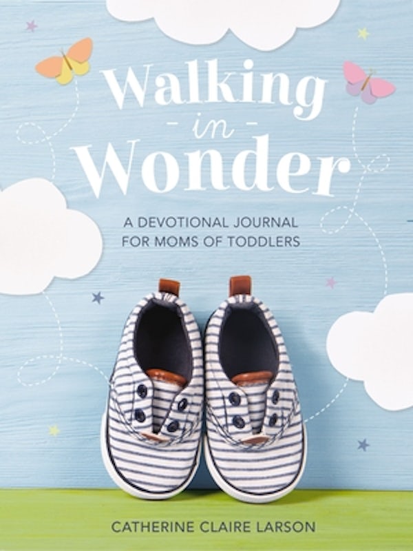 Cover image for Walking in Wonder, isbn: 9781400236152
