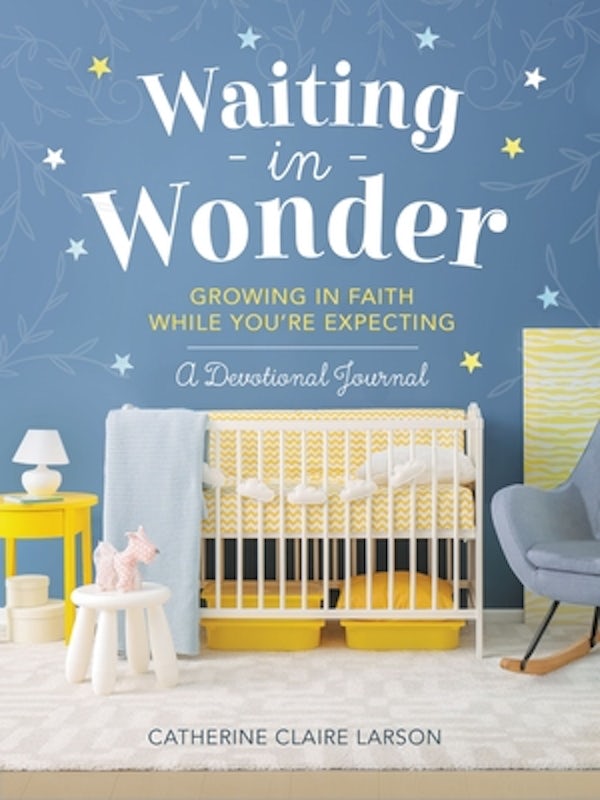 Cover image for Waiting in Wonder, isbn: 9781400237579