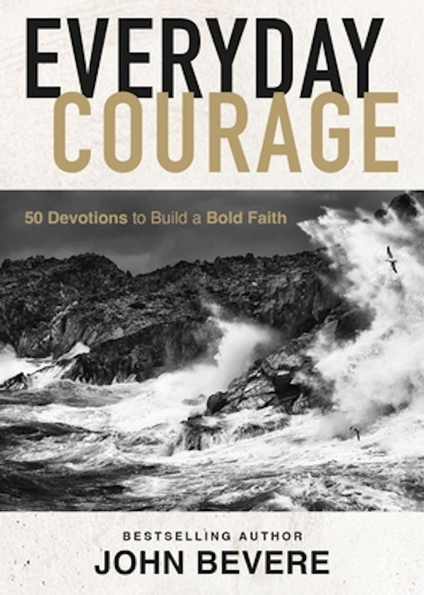 Cover image for Everyday Courage, isbn: 9781400244164