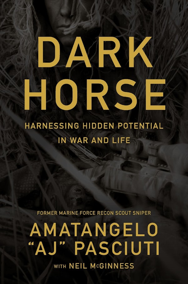 Cover image for Darkhorse, isbn: 9781400254972