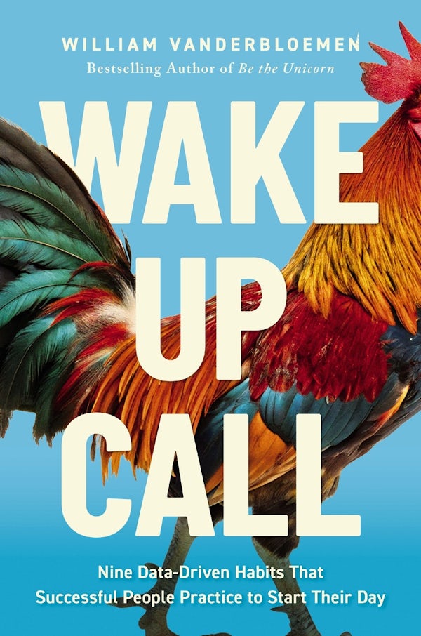 Cover image for Wake-Up Call, isbn: 9781400260171