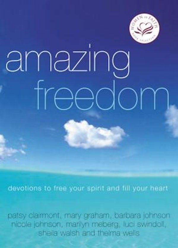Cover image for The Amazing Freedom, isbn: 9781400278176