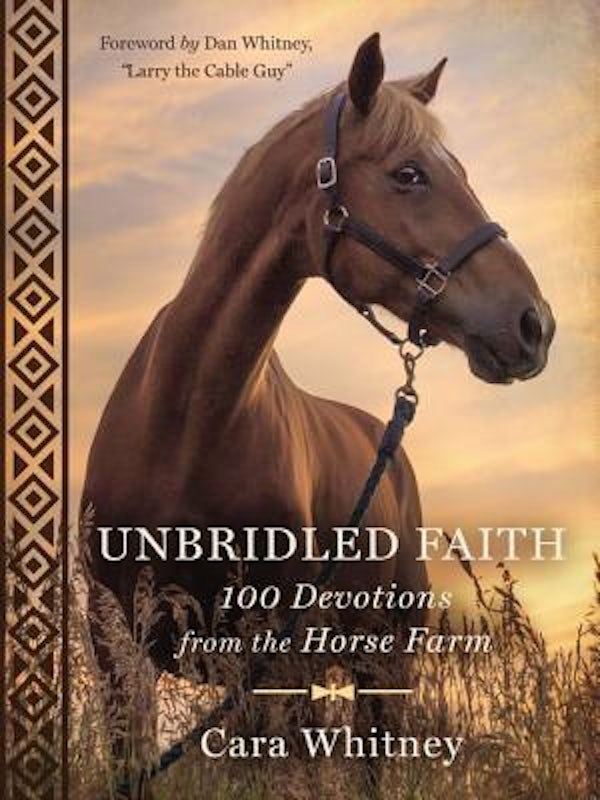 Cover image for Unbridled Faith, isbn: 9781400303311