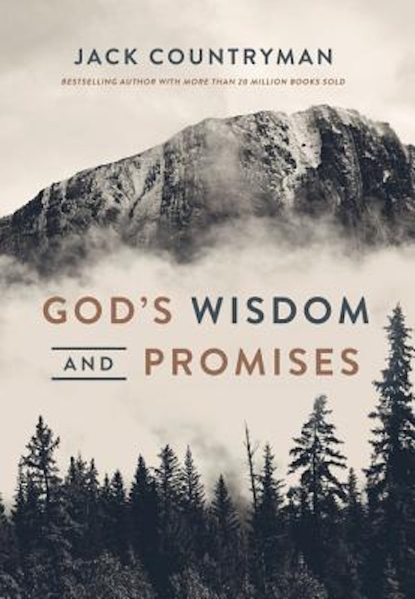 Cover image for God's Wisdom and Promises, isbn: 9781400311156