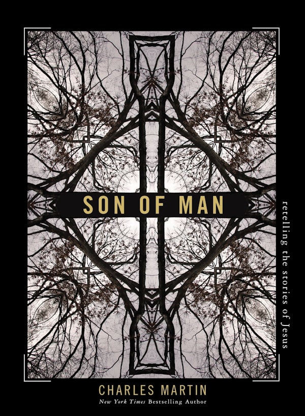 Cover image for Son of Man, isbn: 9781400333523