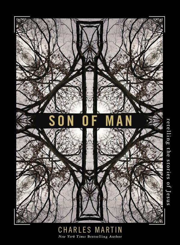 Cover image for Son of Man, isbn: 9781400333523