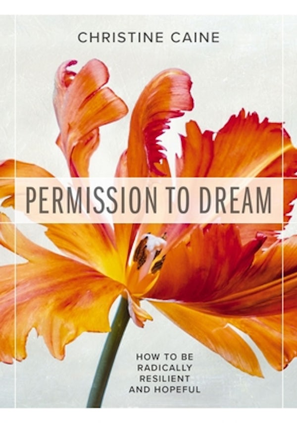 Cover image for Permission to Dream, isbn: 9781400336876