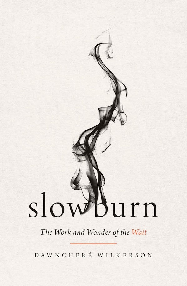 Cover image for Slow Burn, isbn: 9781400345519