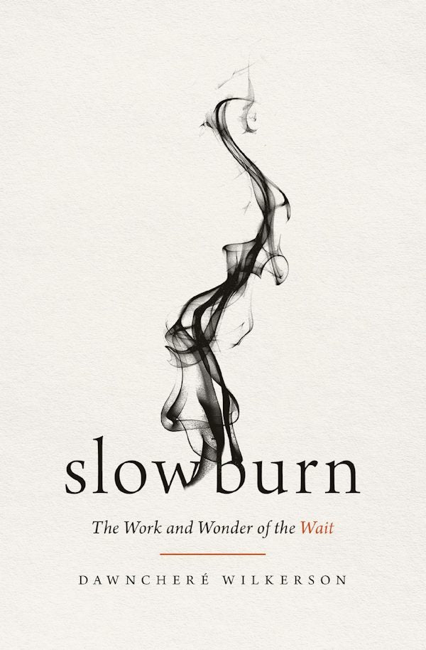Cover image for Slow Burn, isbn: 9781400345519