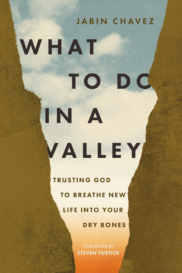 Cover image for What to Do in a Valley, isbn: 9781400349722