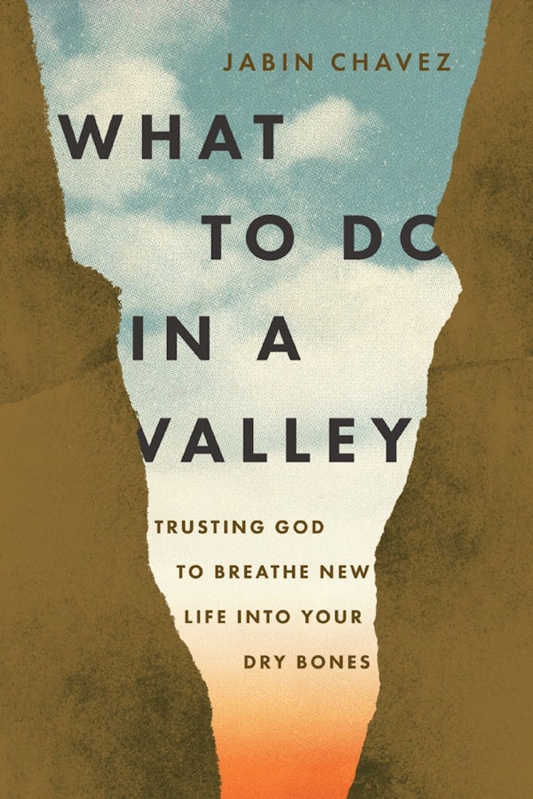 Cover image for What to Do in a Valley, isbn: 9781400349722
