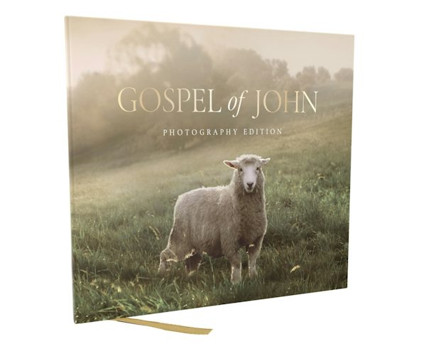 Cover image for Gospel of John, Photography Edition, isbn: 9781400354702