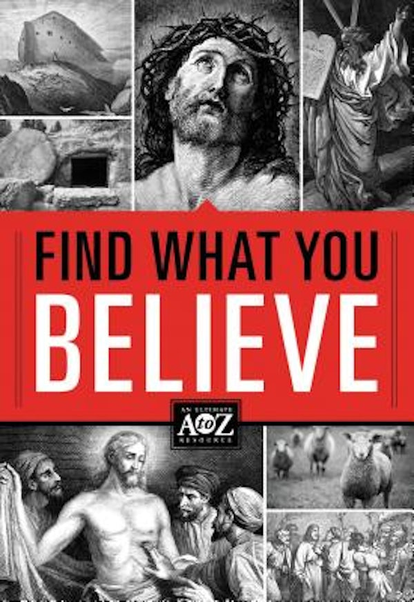 Cover image for The Find What You Believe, isbn: 9781401677848