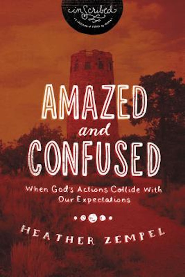 Cover image for Amazed and Confused, isbn: 9781401679231