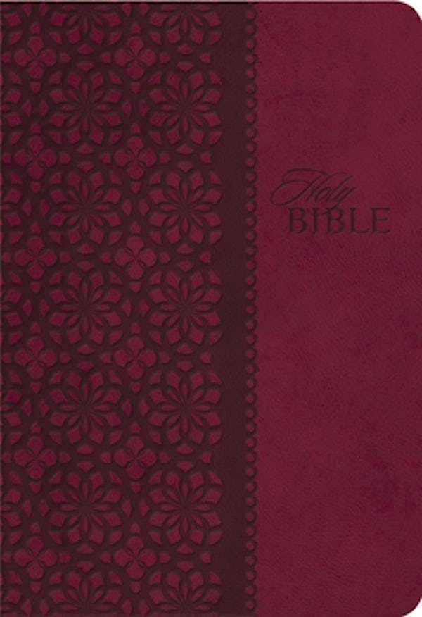 Cover image for Study Bible-KJV, isbn: 9781401680336