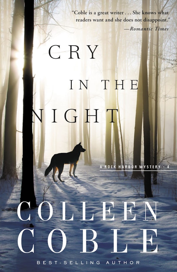 Cover image for A Cry in the Night, isbn: 9781401688646