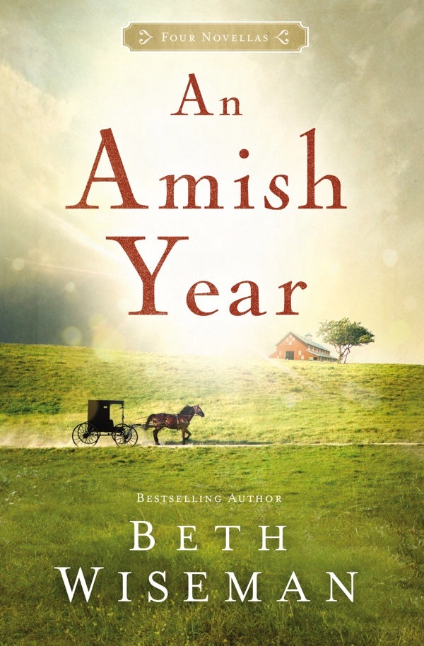 Cover image for An Amish Year, isbn: 9781401689773