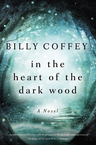 Cover image for In the Heart of the Dark Wood, isbn: 9781401690090