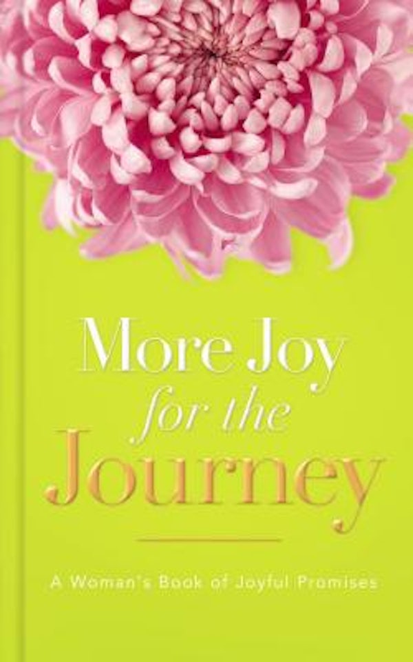 Cover image for More Joy for the Journey, isbn: 9781404103276