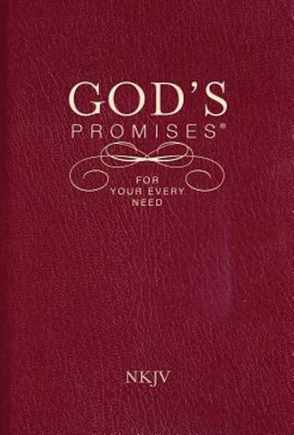 Cover image for God's Promises for Your Every Need, NKJV, isbn: 9781404186651