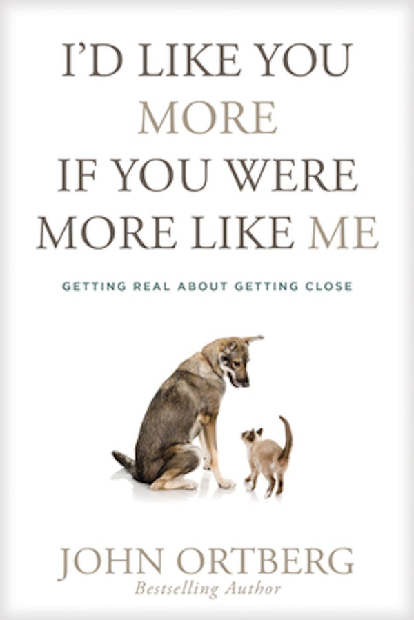 Cover image for I'd Like You More If You Were More Like Me, isbn: 9781414379036