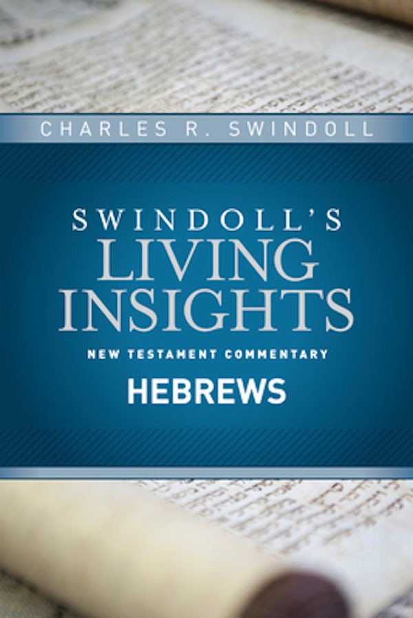 Cover image for Insights on Hebrews, isbn: 9781414393773