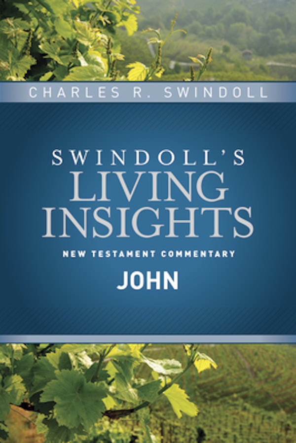 Cover image for Insights on John, isbn: 9781414393797