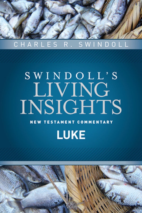 Cover image for Insights on Luke, isbn: 9781414393803