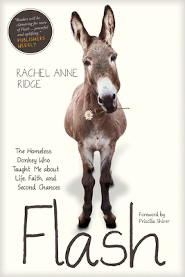 Cover image for Flash, isbn: 9781414397849