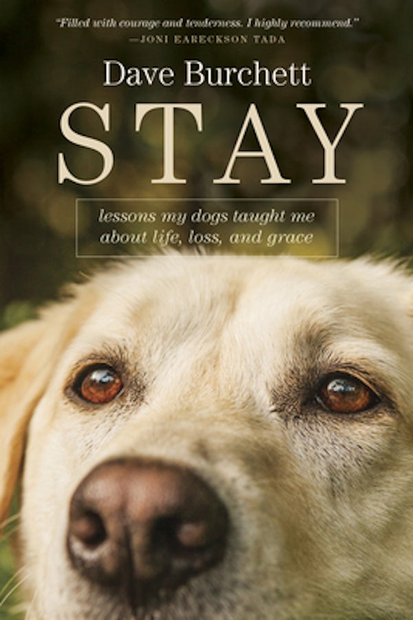 Cover image for Stay, isbn: 9781414397931