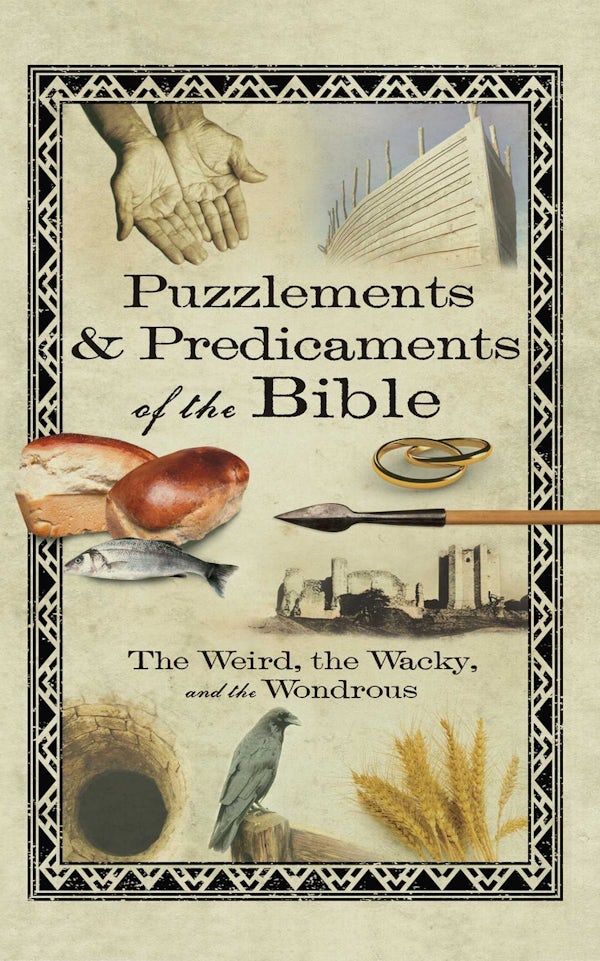 Cover image for Puzzlements & Predicaments of the Bible, isbn: 9781416566762