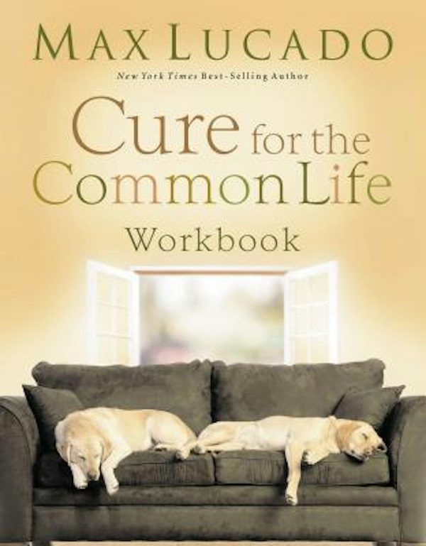 Cover image for Cure for the Common Life Workbook, isbn: 9781418506056
