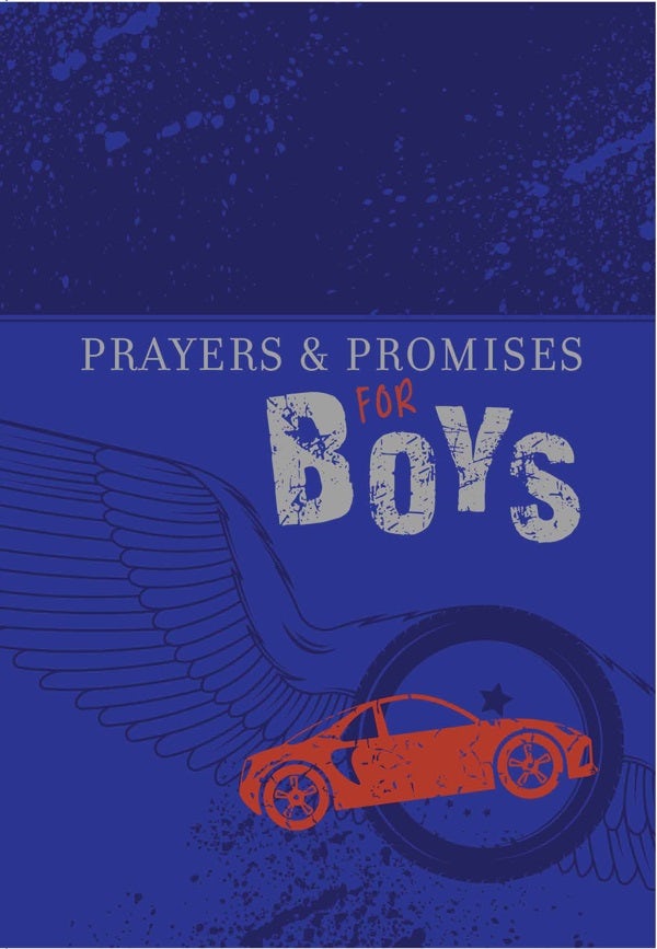 Cover image for Prayers & Promises for Boys, isbn: 9781424554164