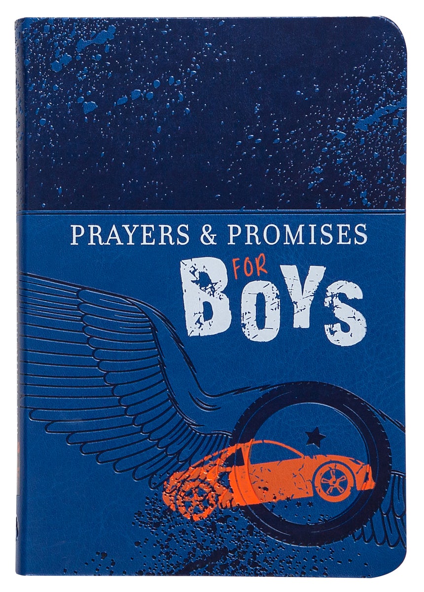 Cover image for Prayers & Promises for Boys, isbn: 9781424554164