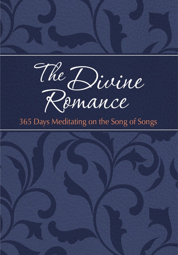 Cover image for The Divine Romance, isbn: 9781424555529