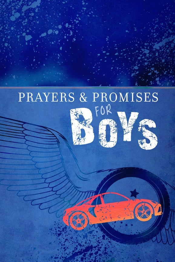 Cover image for Prayers & Promises for Boys, isbn: 9781424556601