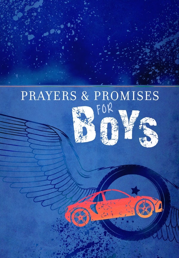Cover image for Prayers & Promises for Boys, isbn: 9781424556601