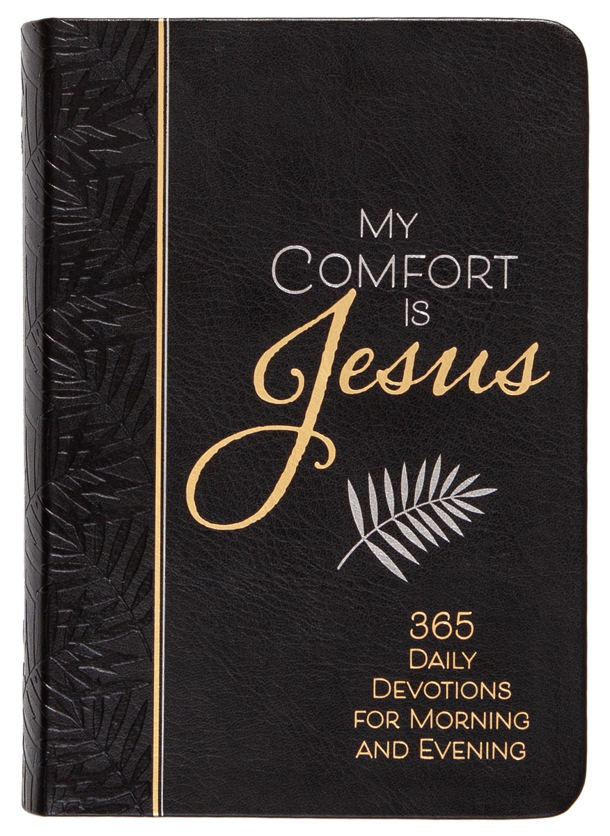 Cover image for My Comfort Is Jesus, isbn: 9781424561377