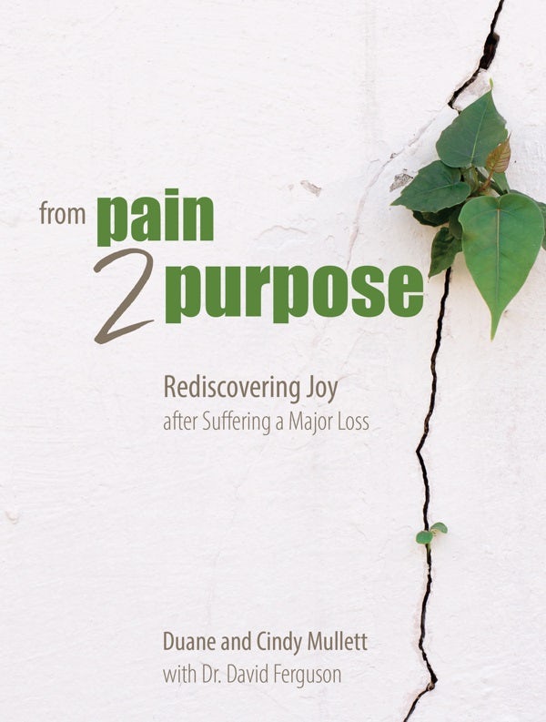 Cover image for From Pain 2 Purpose, isbn: 9781424562527