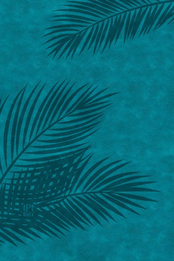 Cover image for The Passion Translation New Testament (2020 Edition) Large Print Teal, isbn: 9781424562572