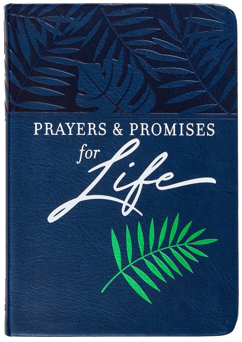 Cover image for Prayers & Promises for Life, isbn: 9781424562640