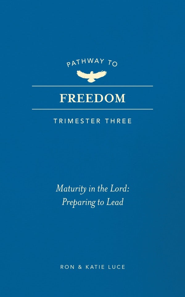 Cover image for Pathway to Freedom (Trimester Three), isbn: 9781424570119