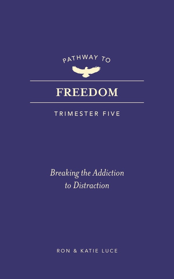 Cover image for Pathway to Freedom (Trimester Five), isbn: 9781424570157