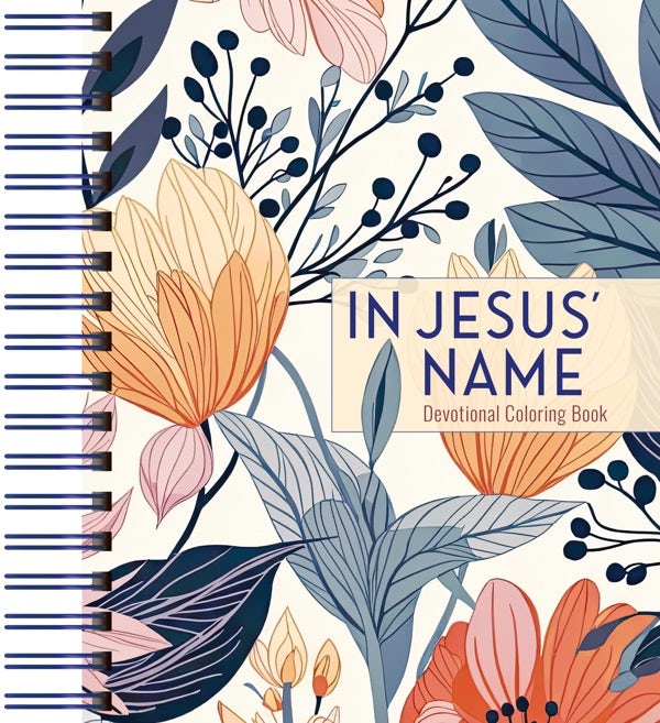Cover image for In Jesus' Name, isbn: 9781424571680