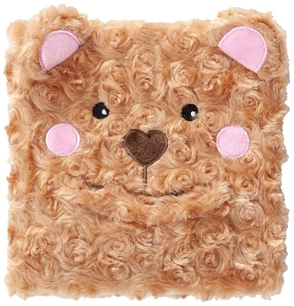 Cover image for Prayer Bear, isbn: 9781424571949