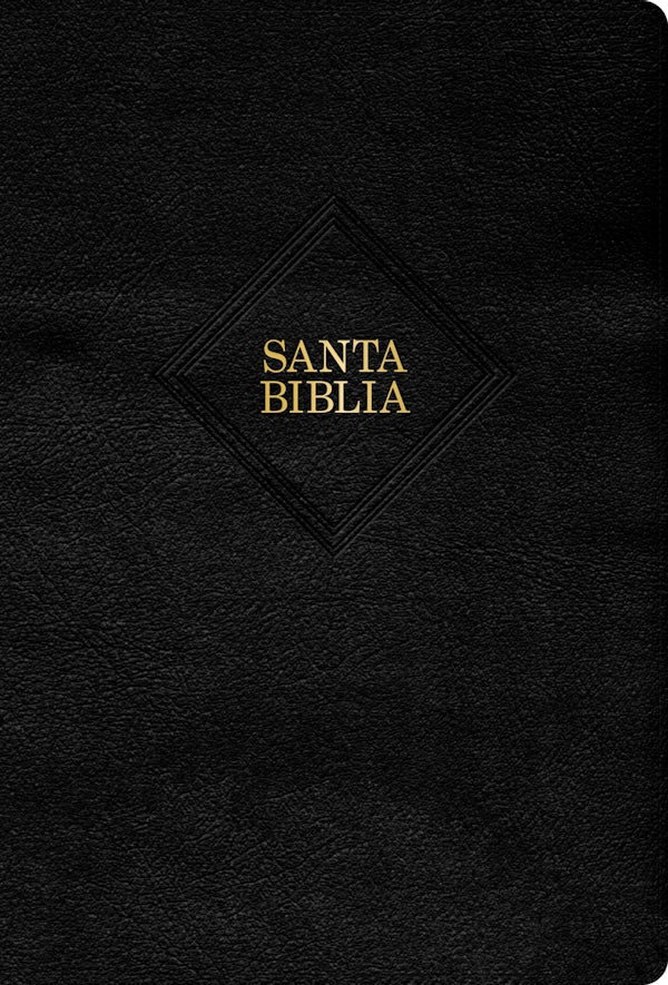 Cover image for Rvr 1960 Biblia Letra Grande Tama�o Manual, Negro Piel Fabricada Con �ndice (Edici�n 2023), isbn: 9781430082071
